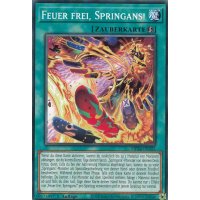Feuer frei, Springans! MP24-DE322