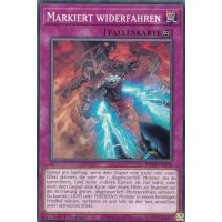 Markiert widerfahren MP24-DE330