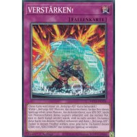 VERST&Auml;RKEN! MP24-DE354