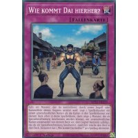 Wie kommt Dai hierher? MP24-DE359