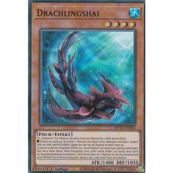 Drachlingshai ROTA-DE002