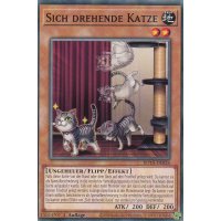Sich drehende Katze ROTA-DE026