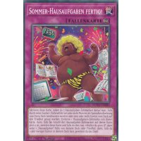 Sommer-Hausaufgaben fertig! ROTA-DE080