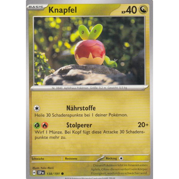 Knapfel 138/191