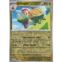 Schlapfel 140/191 REVERSE HOLO