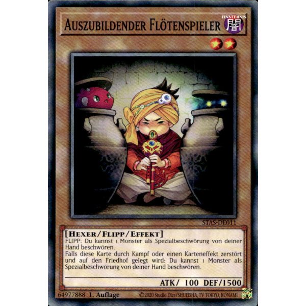 Auszubildender Fl&ouml;tenspieler