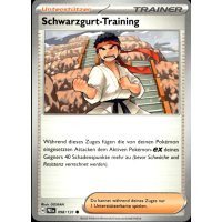 Schwarzgurt-Training 098/131