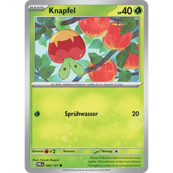 Knapfel 009/131 REVERSE HOLO