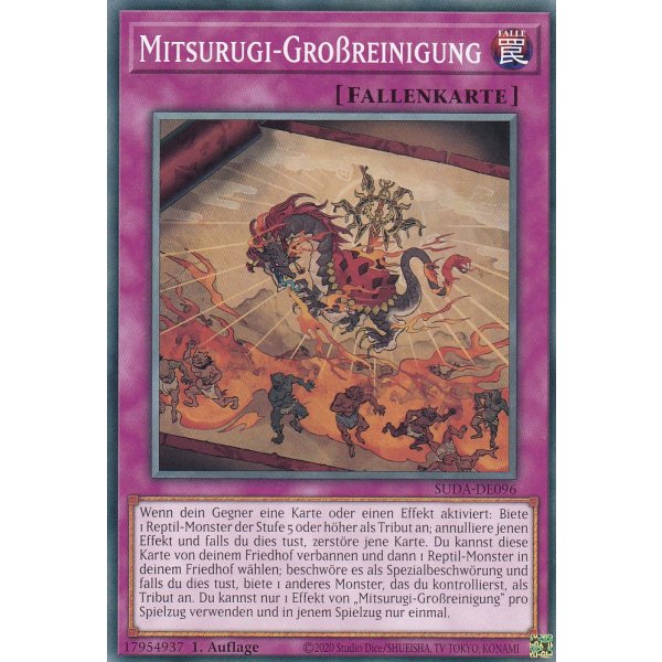 Mitsurugi-Gro&szlig;reinigung SUDA-DE096