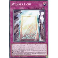 Wahres Licht SDWD-DE028