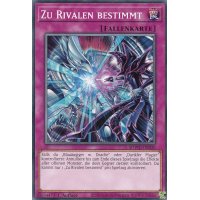 Zu Rivalen bestimmt SDWD-DE030