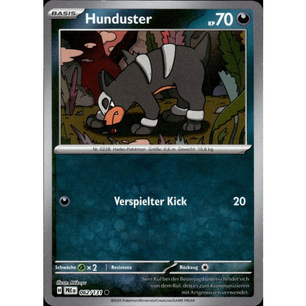 Hunduster 062/131 MEISTERBALL HOLO