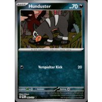 Hunduster 062/131 MEISTERBALL HOLO