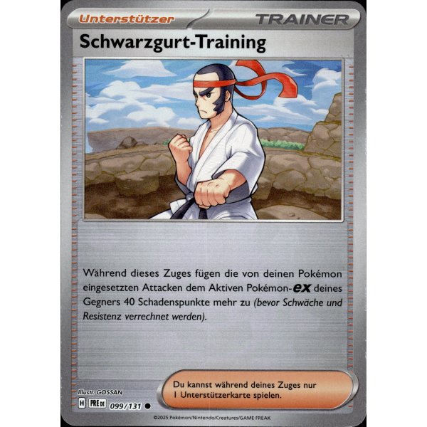 Schwarzgurt-Training 099/131 MEISTERBALL HOLO