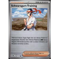 Schwarzgurt-Training 099/131 MEISTERBALL HOLO