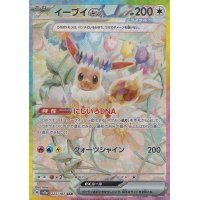 Evoli -ex 223/187 (japanisch)