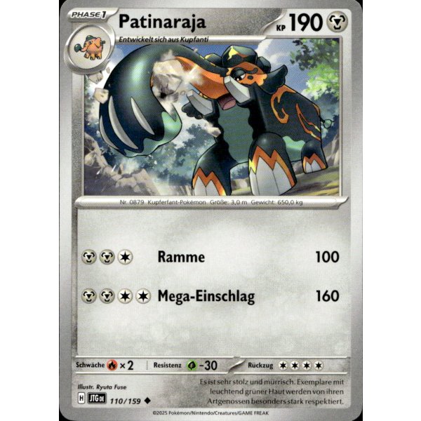 Patinaraja 110/159