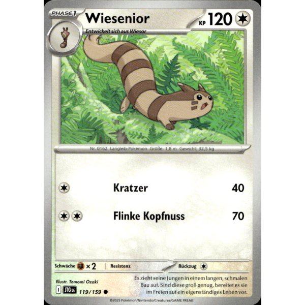 Wiesenior 119/159