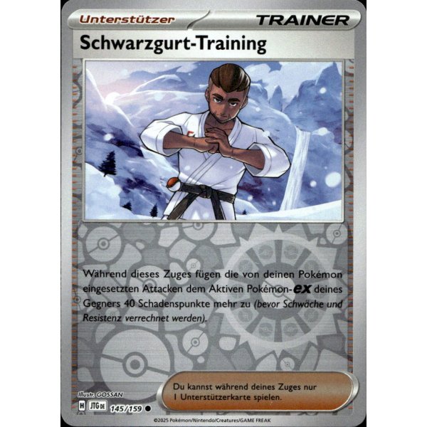 Schwarzgurt-Training 145/159 REVERSE HOLO