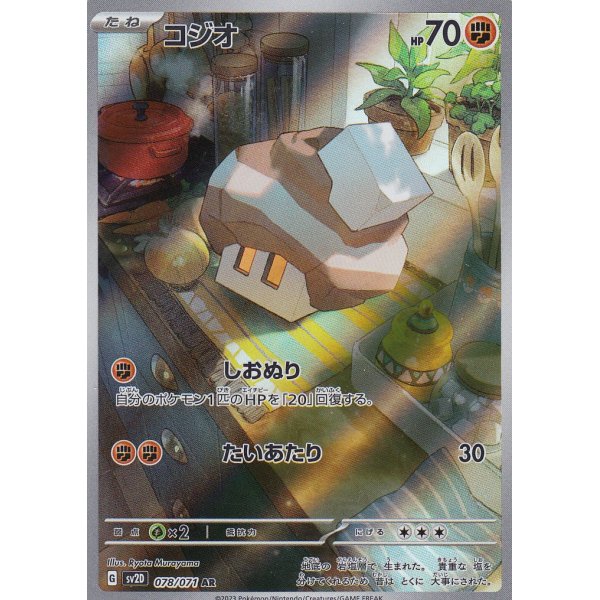 Geosali 078/071 (japanisch)