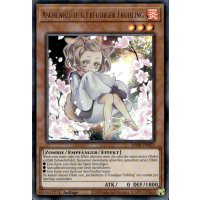 Aschenbl&uuml;te &amp; Freudiger Fr&uuml;hling RA04-DE025 (Ultra Rare)