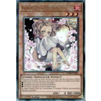 Aschenbl&uuml;te &amp; Freudiger Fr&uuml;hling RA04-DE025 (Ultimate Rare)