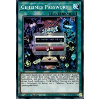 Geheimes Passwort RA04-DE095 (Super Rare)