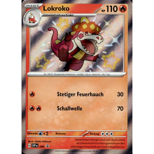 Lokroko SVP080
