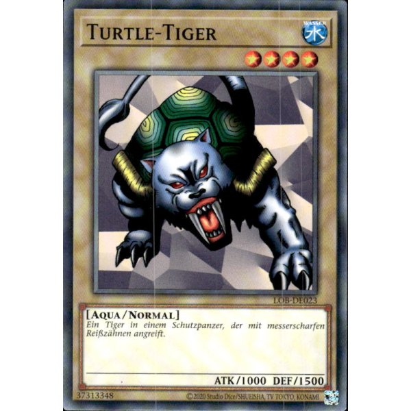 Turtle-Tiger