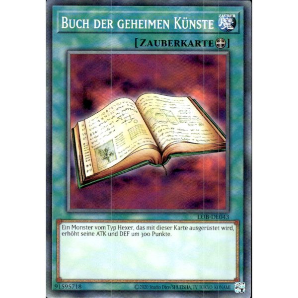 Buch der geheimen K&uuml;nste