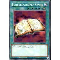 Buch der geheimen K&uuml;nste