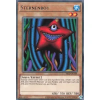 Sternenboy