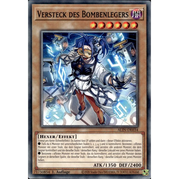 Versteck des Bombenlegers ALIN-DE034