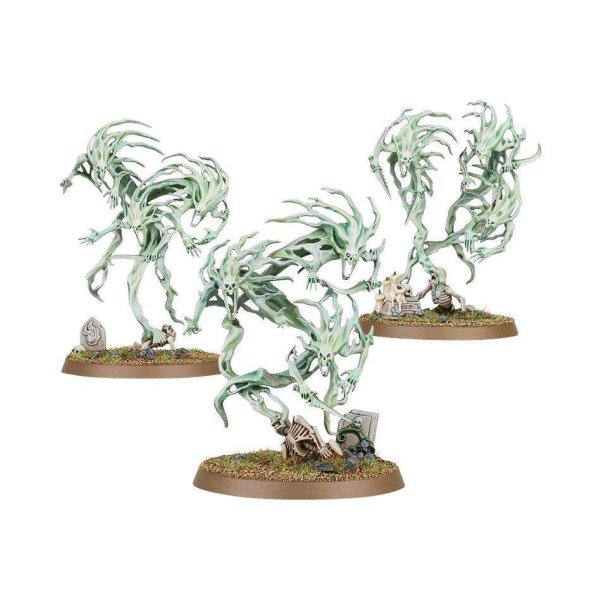 Warhammer Age of Sigmar Nighthaunt Spirit Hosts (93-08)
