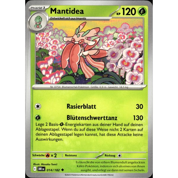 Mantidea 014/182