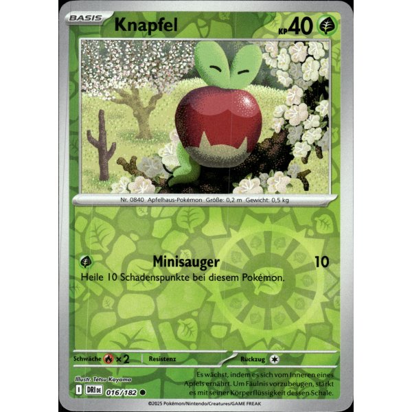 Knapfel 016/182 REVERSE HOLO