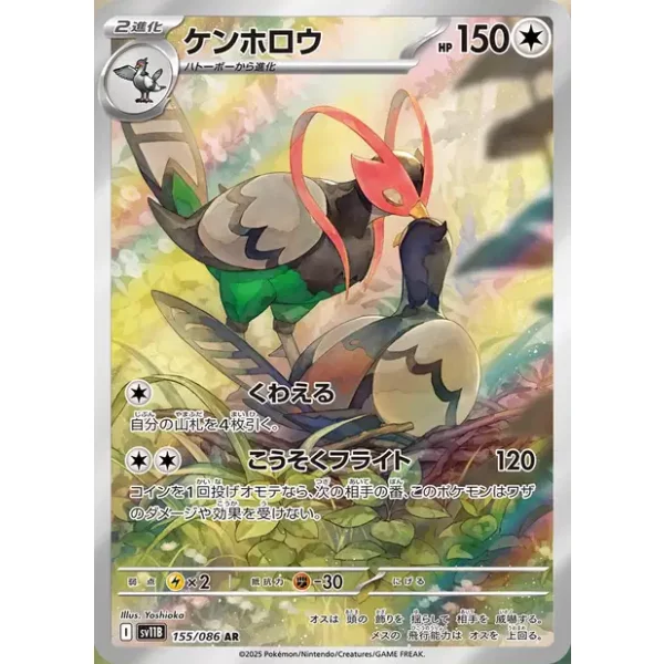 Fasanob sv11b-155 (japanisch)