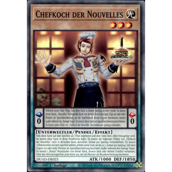 Chefkoch der Nouvelles DUAD-DE023