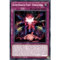 Kunstmagus-Pakt -Erwachen- DUAD-DE075