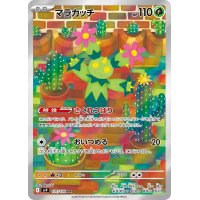 Maracamba 101/100 (japanisch)