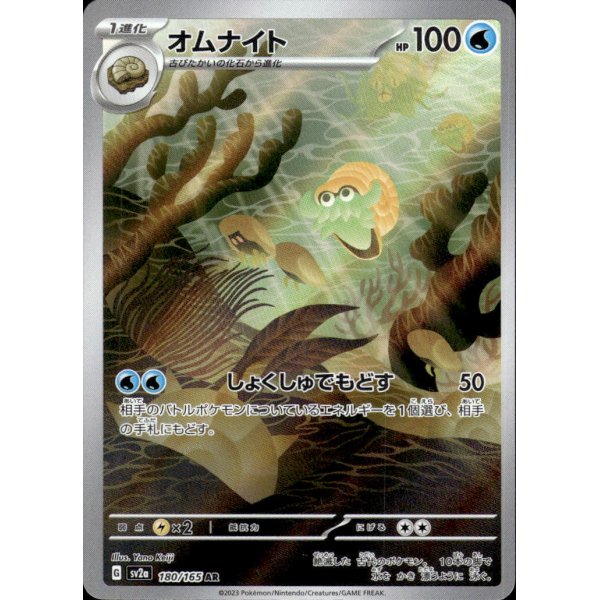 Amonitas 180/165 (japanisch)