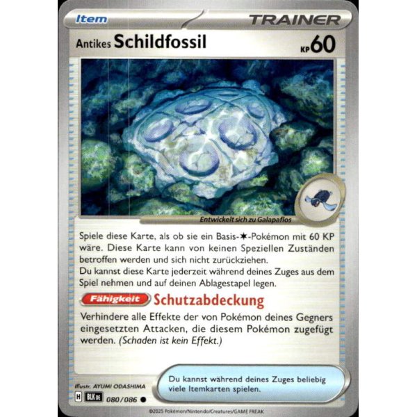 Antikes Schildfossil 080/086