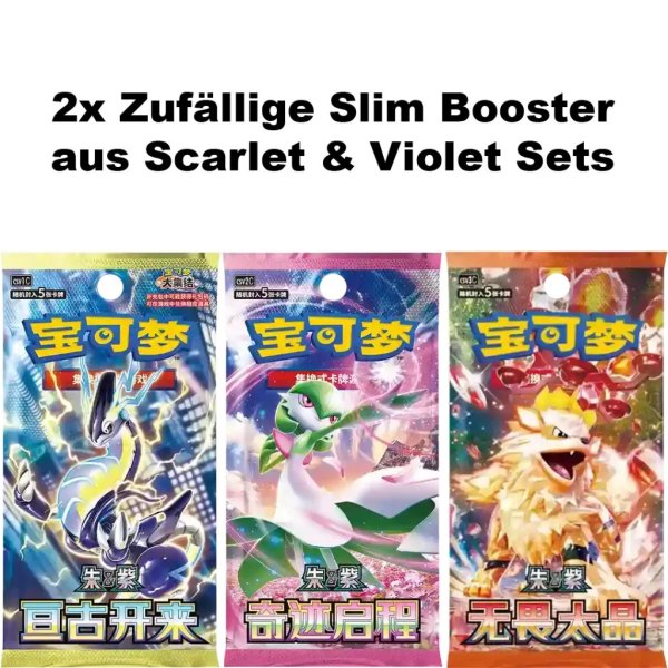 Pokemon Chinese Journey Battle Accessories Gift Box