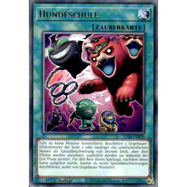 Hundeschule JUSH-DE029