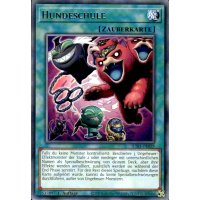 Hundeschule JUSH-DE029