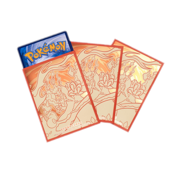 Pokemon Chinese Charizard VMAX Battle Set Gift Box