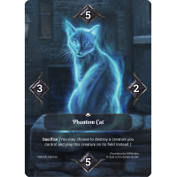 Phantom Cat NVR-EN106 Parallel Foil (english)