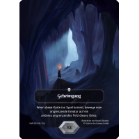 Geheimgang NVR-DE041 Parallel Foil (deutsch)