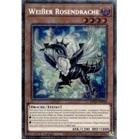 Weißer Rosendrache MP25-DE038