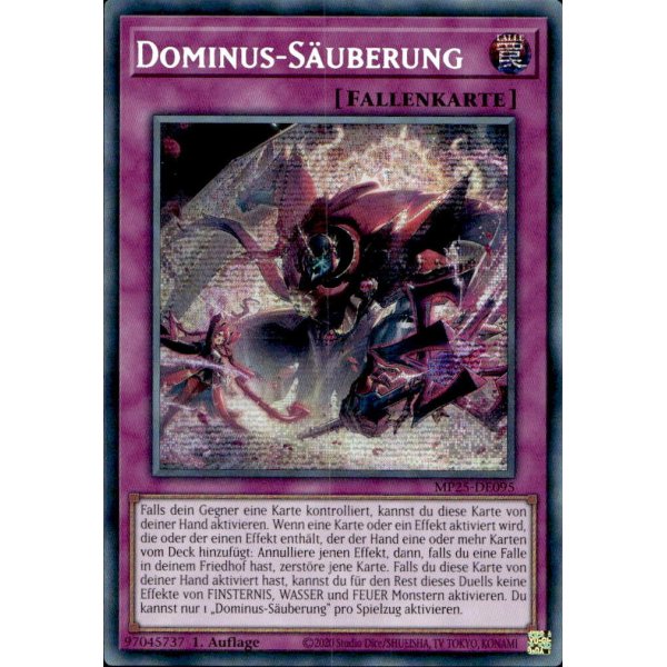 Dominus-S&auml;uberung MP25-DE095